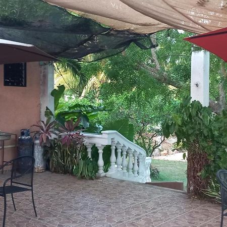 Villa Lirios バリャドリッド エクステリア 写真
