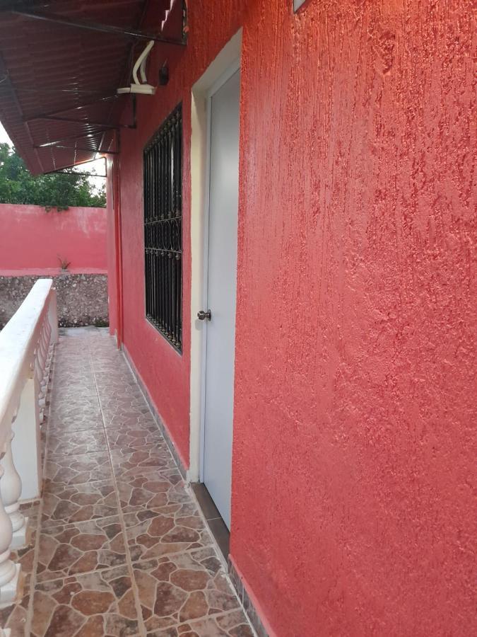 Villa Lirios バリャドリッド エクステリア 写真